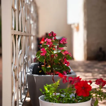 Le Patio Olea